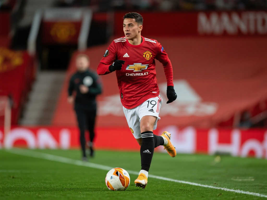 新鲜血液 新鲜血液