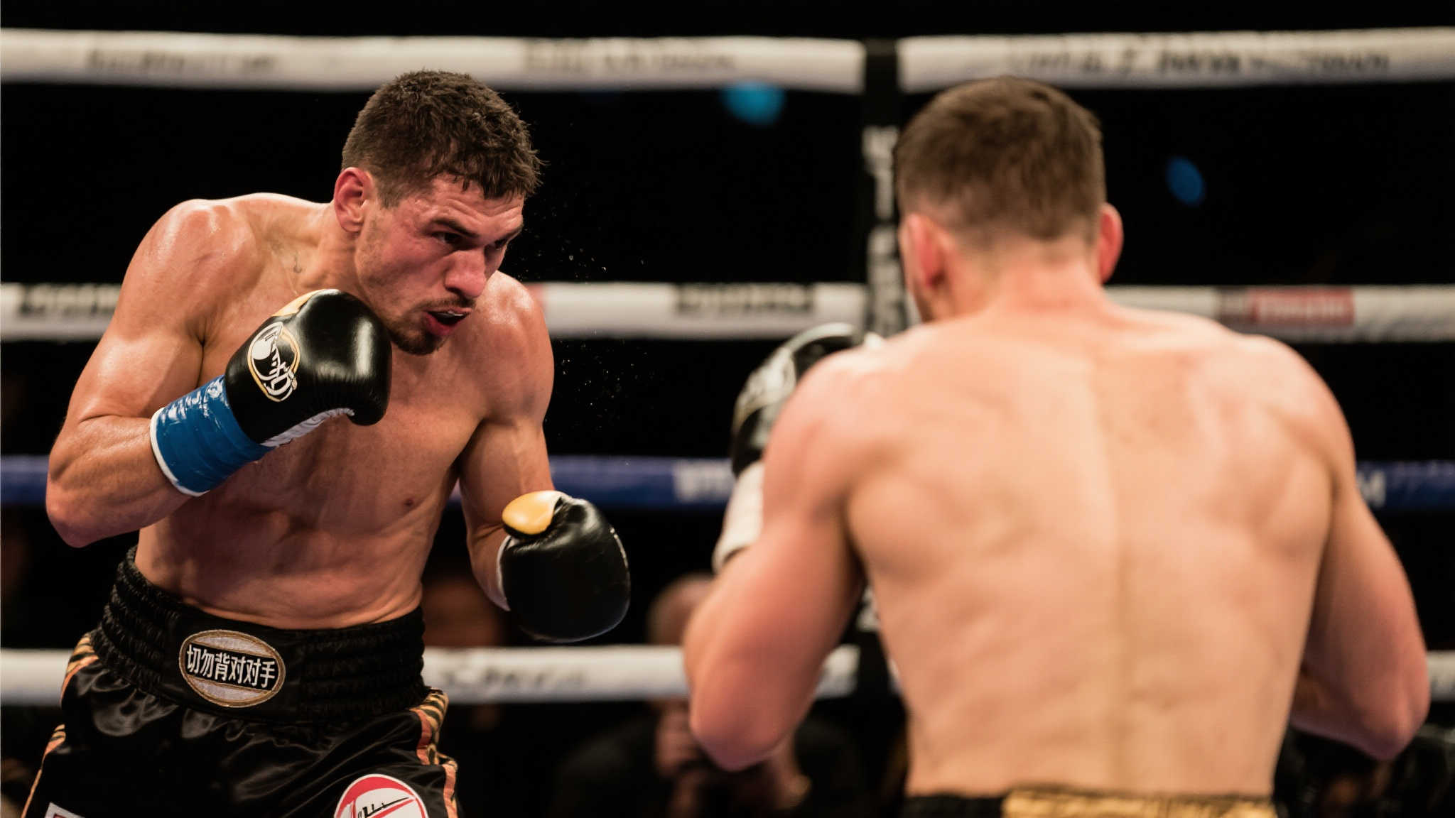 本泽马所展 本泽马所展